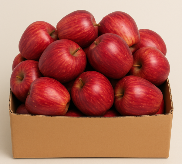 Royal Delicious Apples (5KG and 10KG Packs) - Image 3