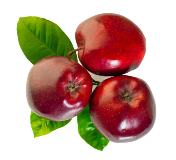 Schino Red Gala Apple (5KG and 10KG packs) - Image 2